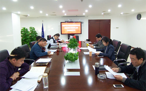 公司党委中心组学习传达十八届六中全会精神和全国国有企业党建工作会议精神